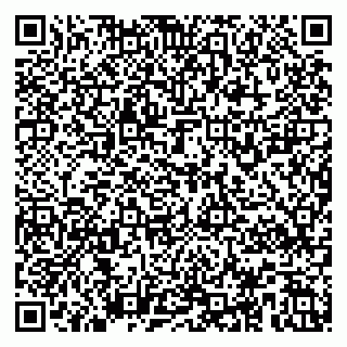 vCard 79587920337