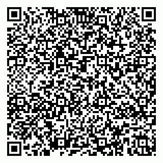 vCard 79587920339
