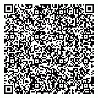 vCard 79587920385