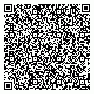 vCard 79587920387