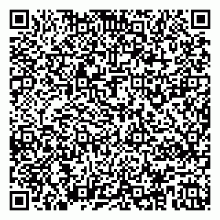 vCard 79587920399