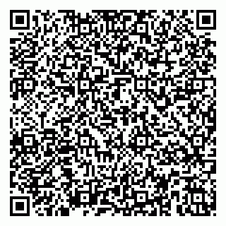 vCard 79587945132