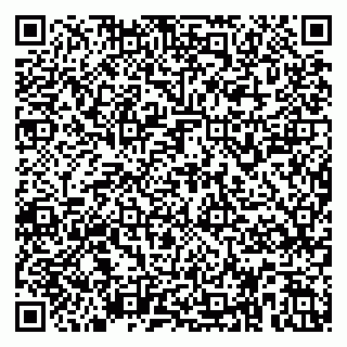 vCard 79587945217