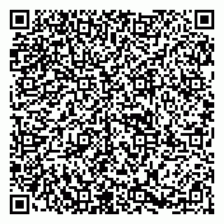 vCard 79587945272