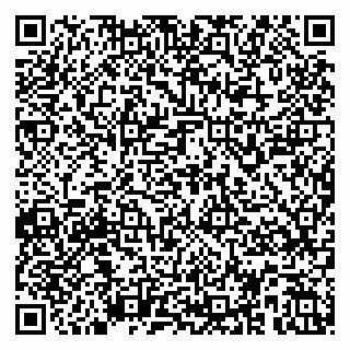 vCard 79587945374