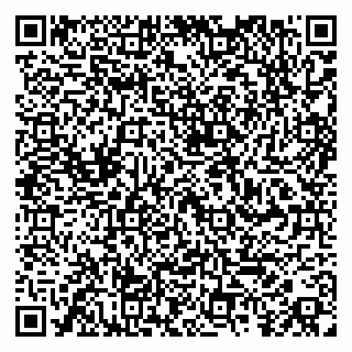 vCard 79587945387