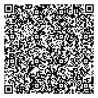 vCard 79587965293
