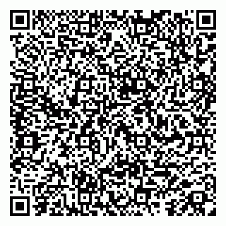 vCard 79587965299