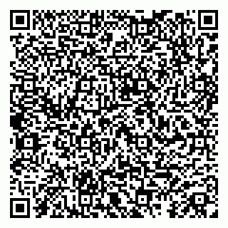 vCard 79587965300