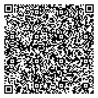 vCard 79587965312