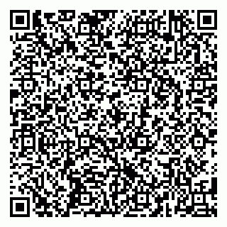 vCard 79587965313