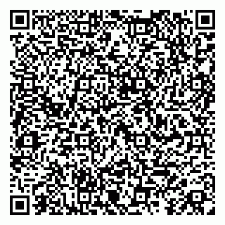 vCard 79587965333