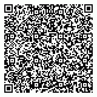 vCard 79587965335