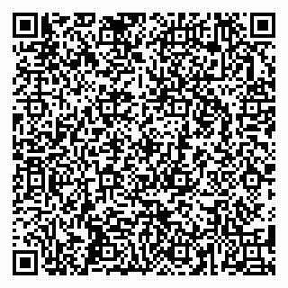 vCard 79587965337