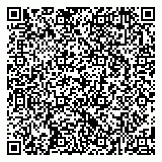 vCard 79587965339