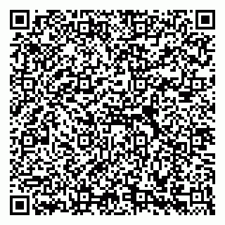 vCard 79588535969