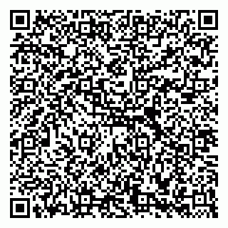 vCard 79588536020