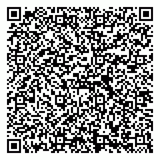 vCard 79588536029
