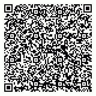 vCard 79588536031
