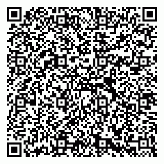 vCard 79588536128