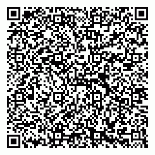 vCard 79588536175