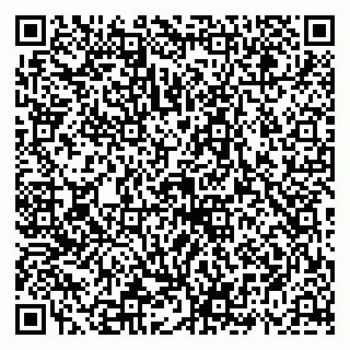 vCard 79588536221