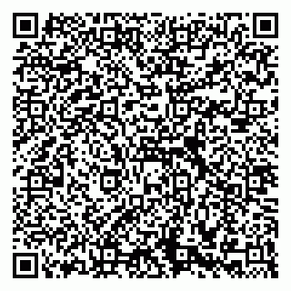 vCard 79588536301