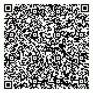 vCard 79588536313