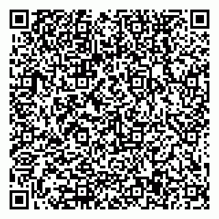 vCard 79588577304