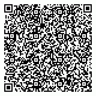 vCard 79588577332