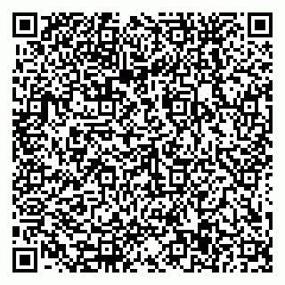 vCard 79588577334