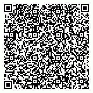 vCard 79588577337