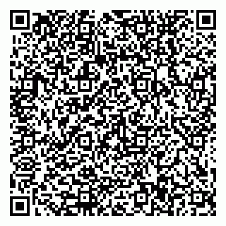 vCard 79588577341