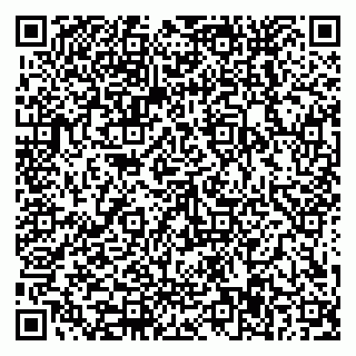 vCard 79588577375