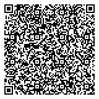 vCard 79588577377