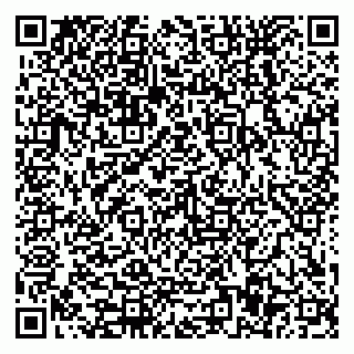 vCard 79588577378