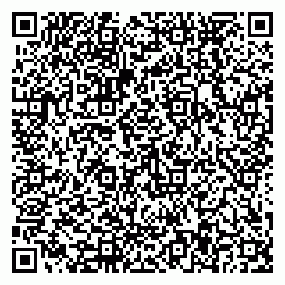 vCard 79588577381