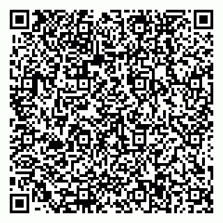 vCard 79588577385