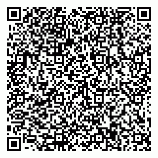 vCard 79588577387