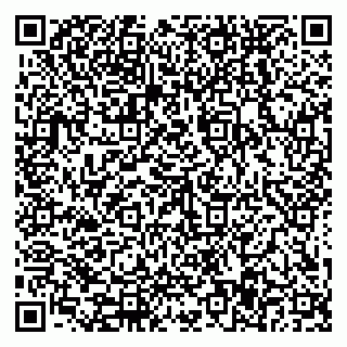 vCard 79588577391