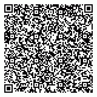 vCard 79588577393
