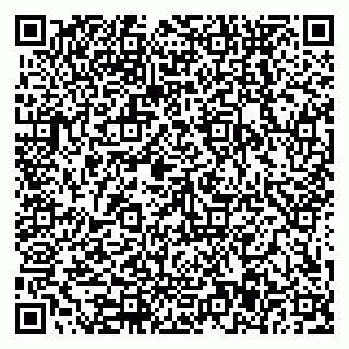 vCard 79588577402