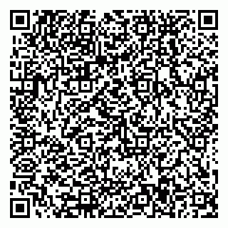 vCard 79588577413