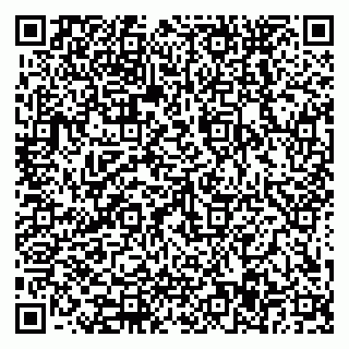vCard 79588577421