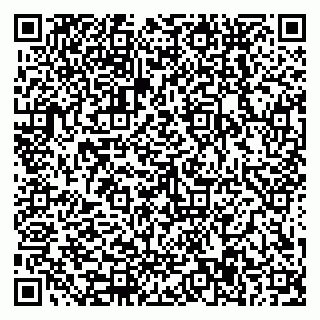 vCard 79588577497