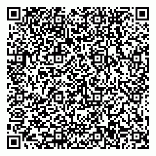 vCard 79588577503