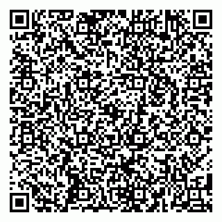 vCard 79588879013