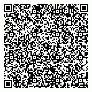 vCard 79588879181