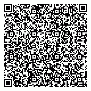 vCard 79588879204