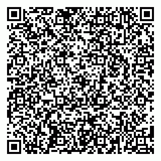 vCard 79588879335